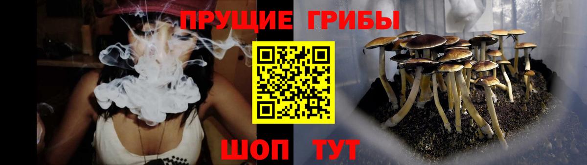 как найти наркотики  Галлюциногенные грибы ЛСД  Вход с VPN  Мытищи 